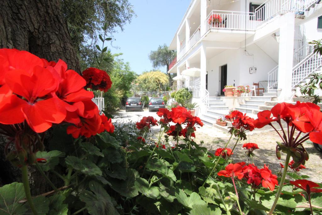 Angeliki Studio And Apartment Gaios Exterior photo